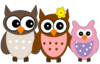 Owl Family Image